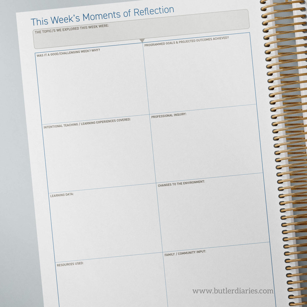 2025 6 Month Weekly Programming and Reflection Child Educator Diary