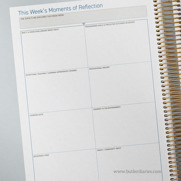 2025 6 Month Weekly Programming and Reflection Child Educator Diary