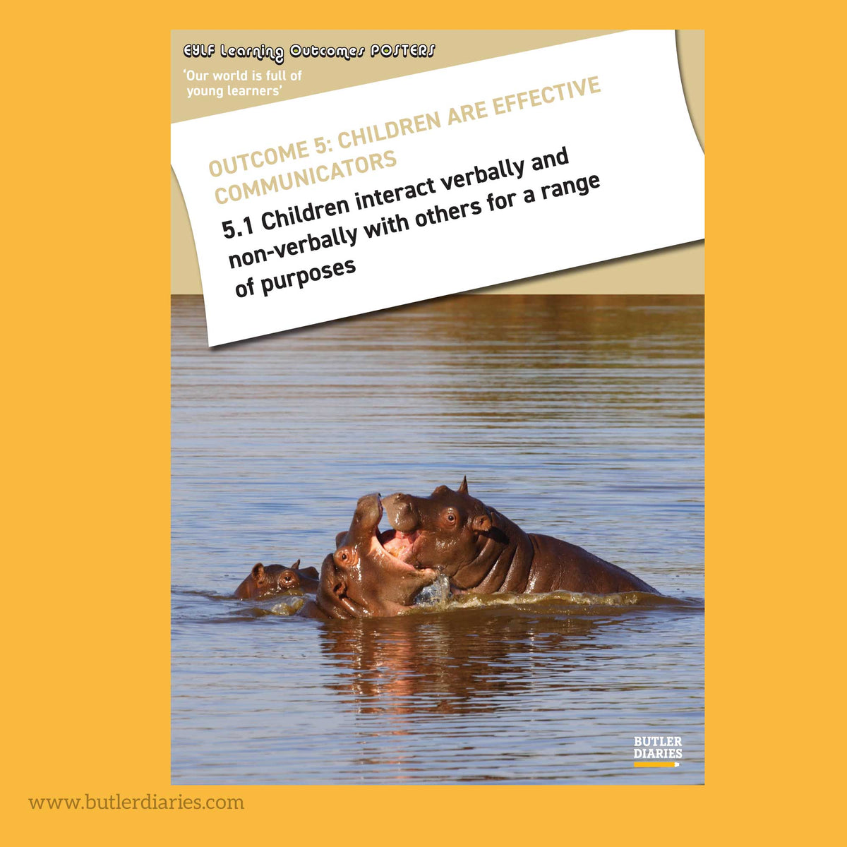 Baby Animal Posters - EYLF Learning Outcomes A4