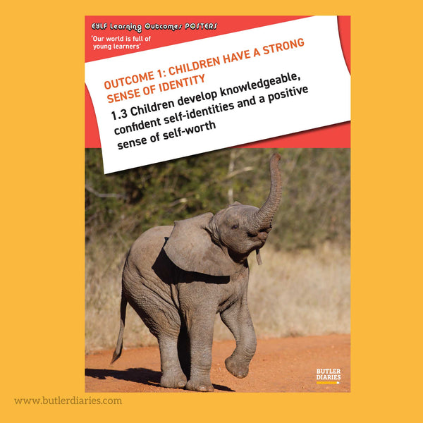 Baby Animal Posters - EYLF Learning Outcomes A4