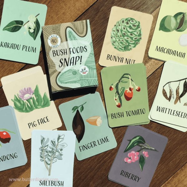 Indigenous Memory Cards for Childcare Butler Diaries