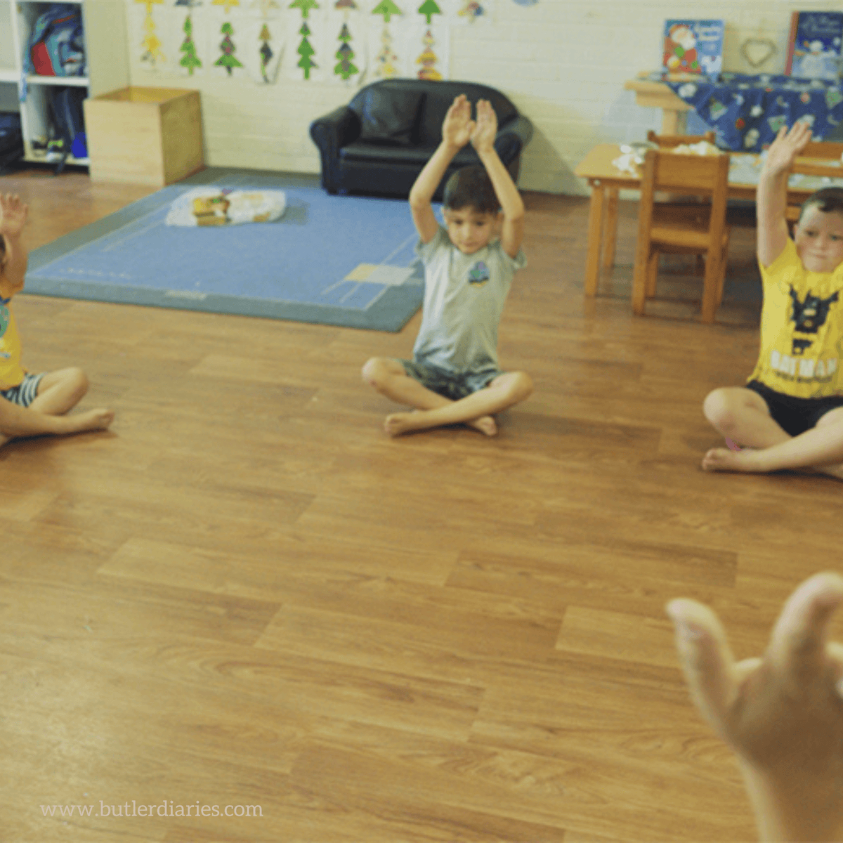 Yoga Story - Owl and the Pussycat - Butler Diaries