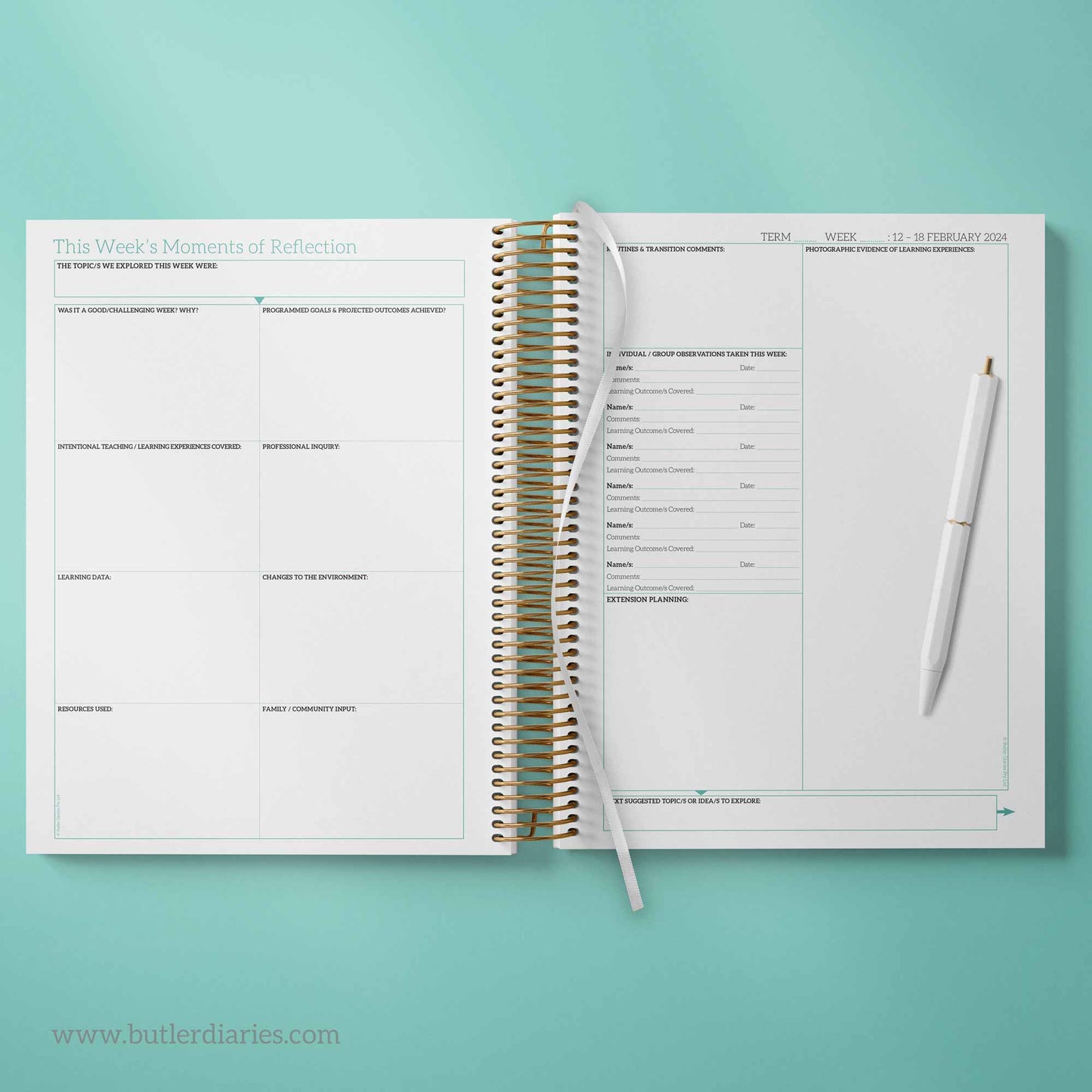 2024 Weekly Programming and Reflection Child Educator Diary