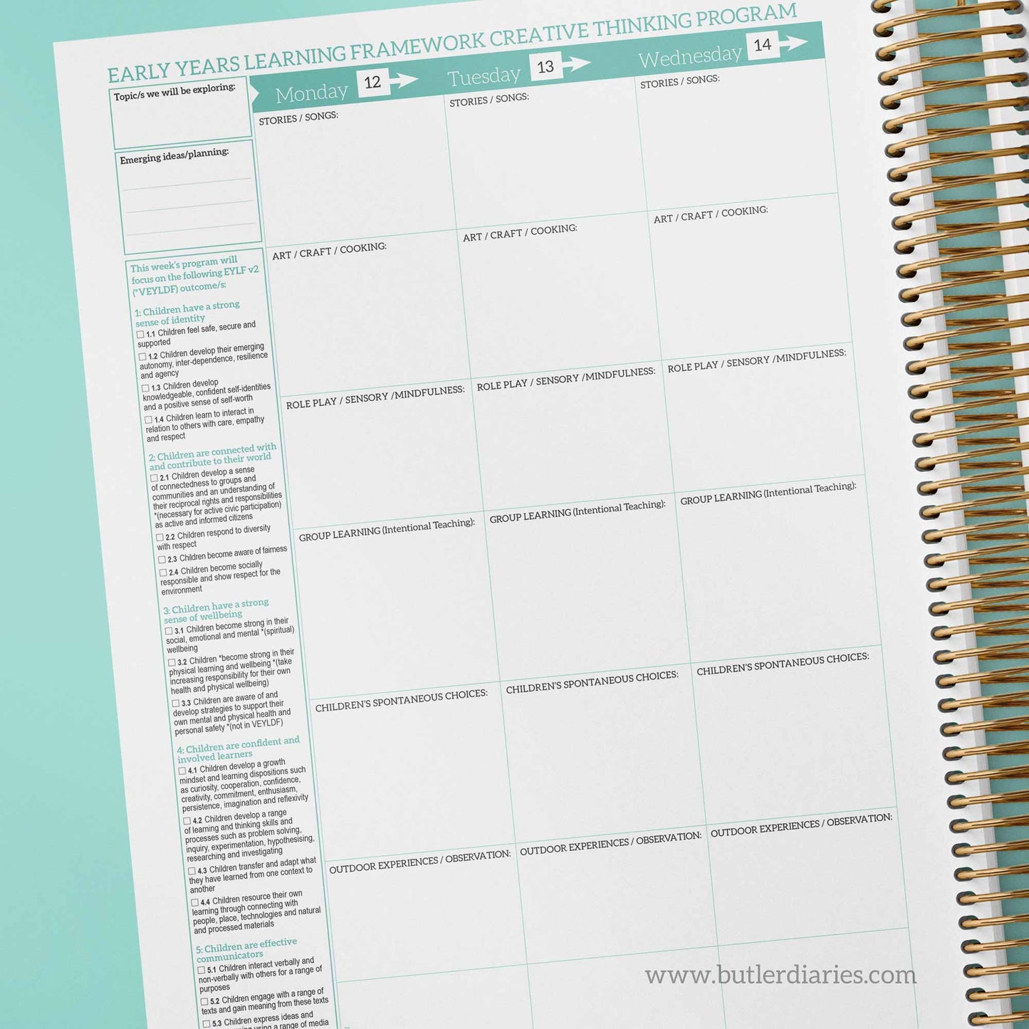 2024 Weekly Programming and Reflection Child Educator Diary