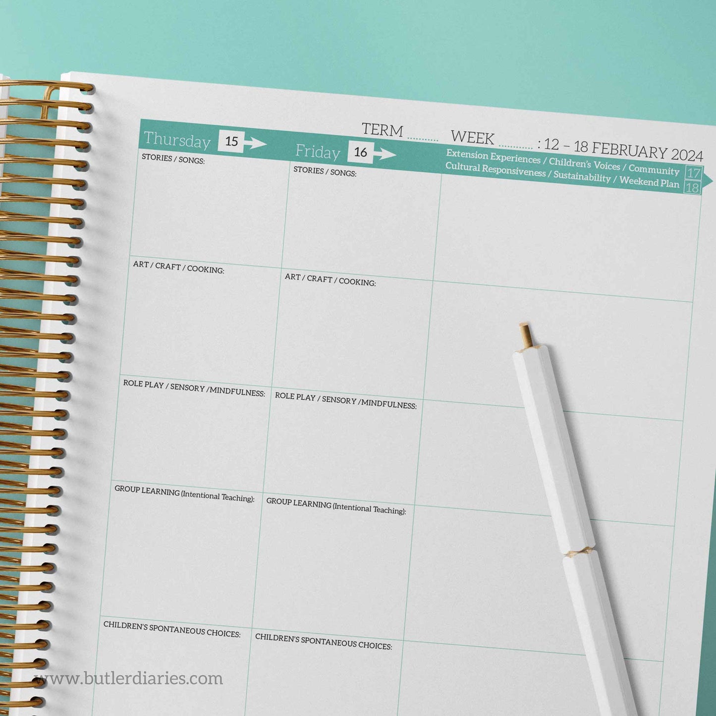 2024 Weekly Programming and Reflection Child Educator Diary