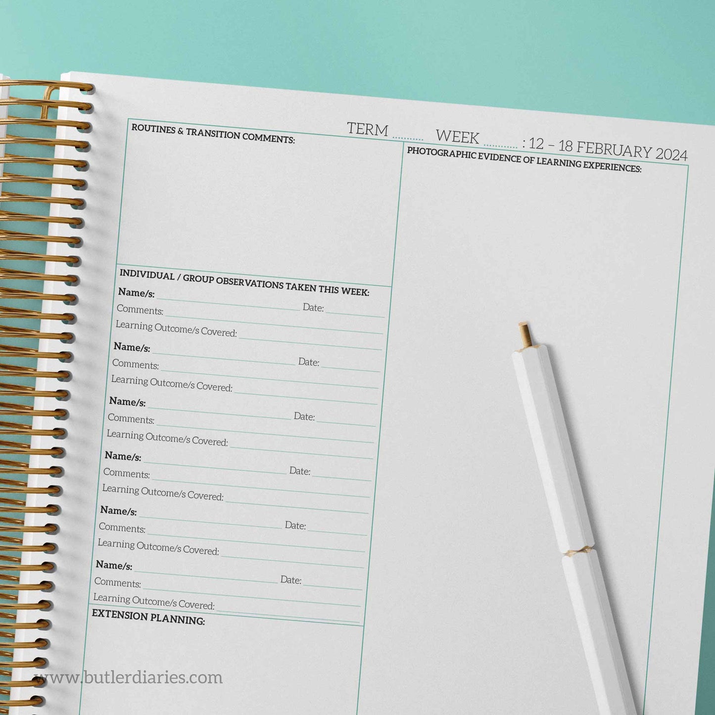 2024 Weekly Programming and Reflection Child Educator Diary