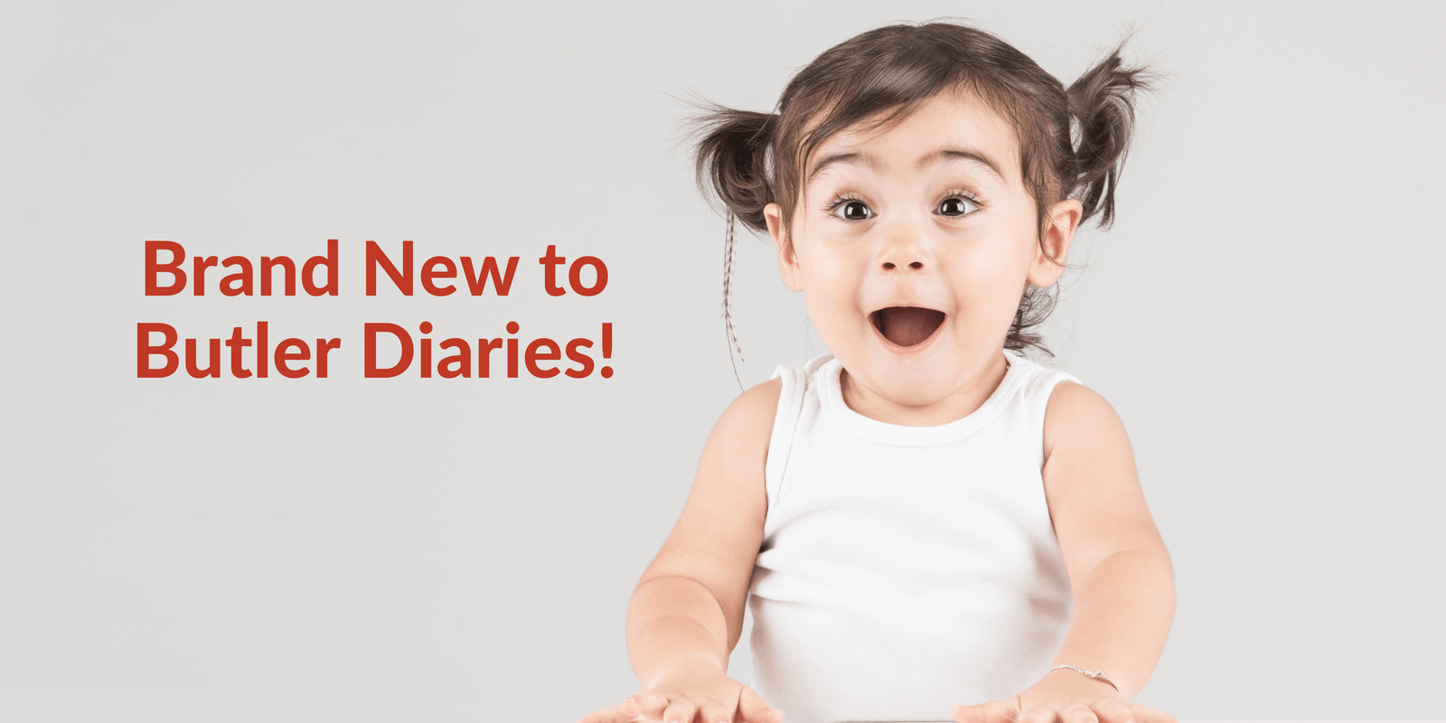 What's new: Diary and Resource Changes – Butler Diaries