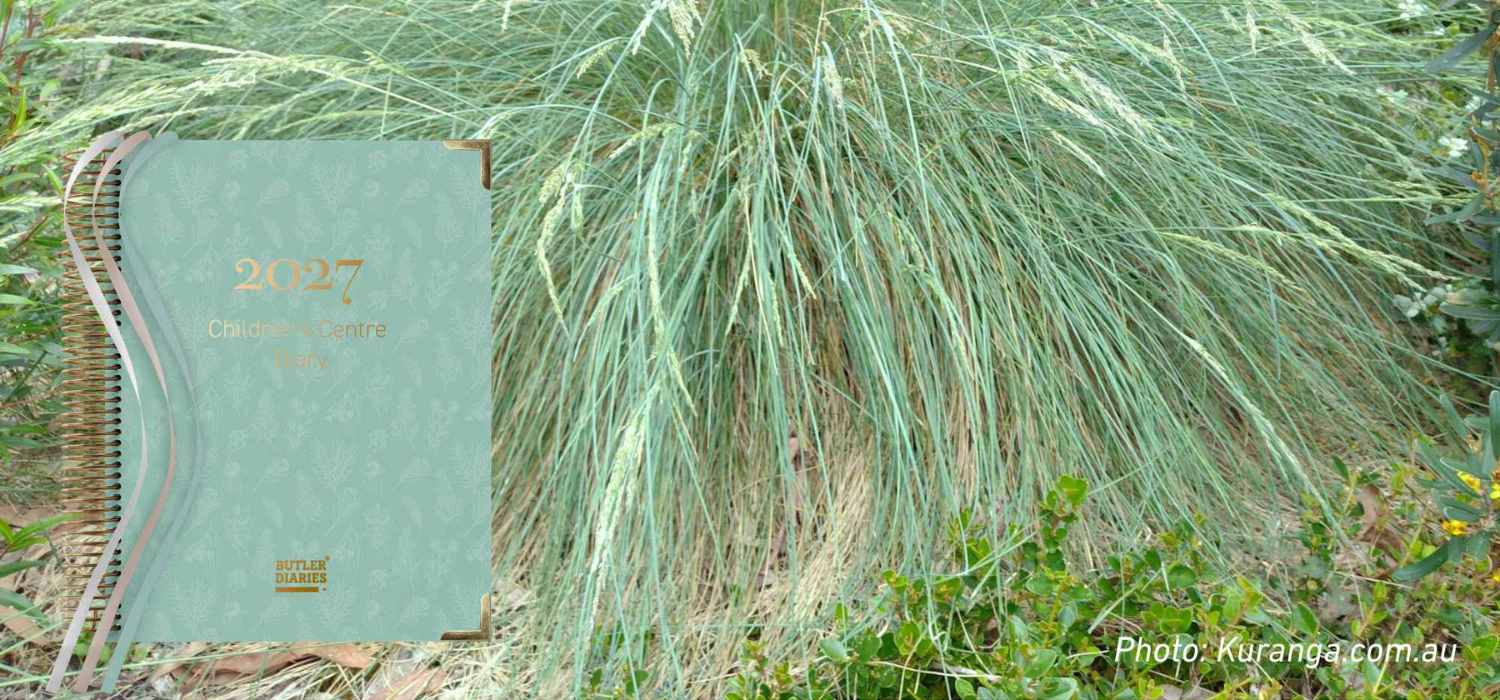 Blue Tussock-grass: our 2027 Children's Centre Diary cover, and 3 ways to explore it with children