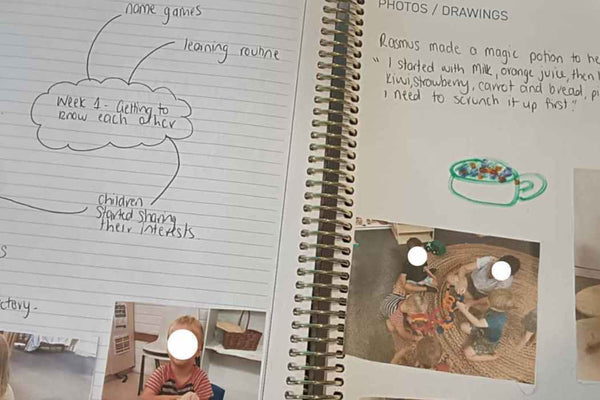 Does your Programming Diary Support Critical Reflection?