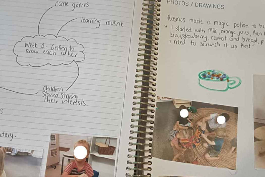 Does your Programming Diary Support Critical Reflection?