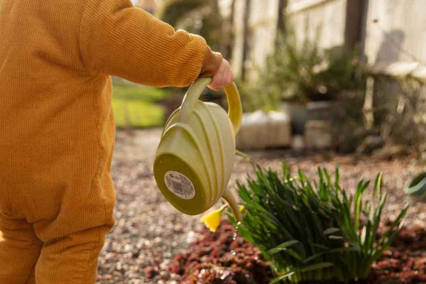 Embedding the 3 Dimensions of Sustainability Through the 7Rs in ECEC Activities