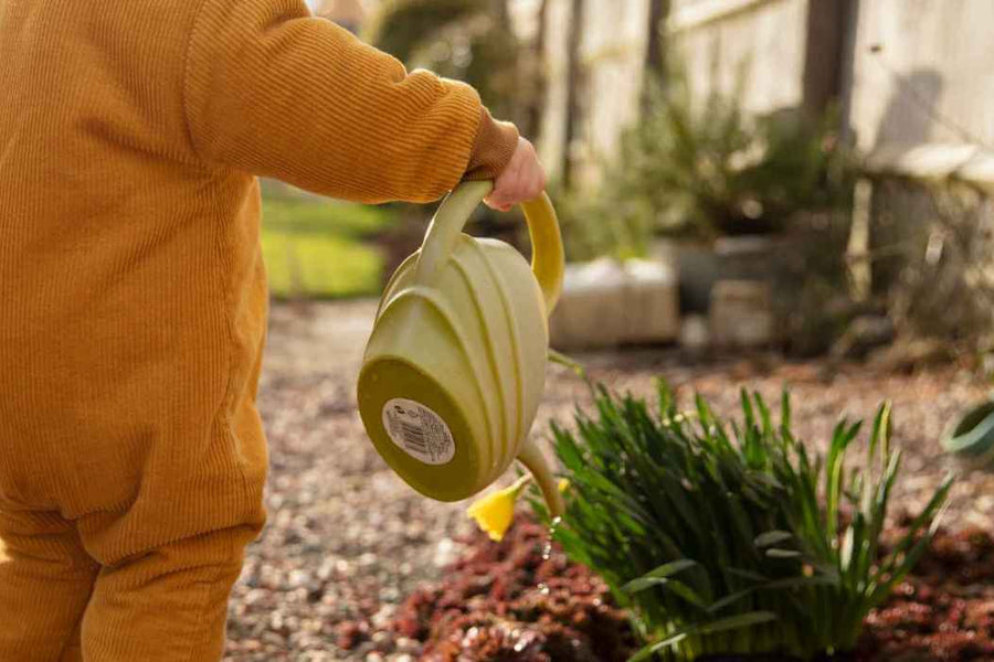 Embedding the 3 Dimensions of Sustainability Through the 7Rs in ECEC Activities