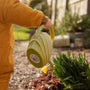Embedding the 3 Dimensions of Sustainability Through the 7Rs in ECEC Activities
