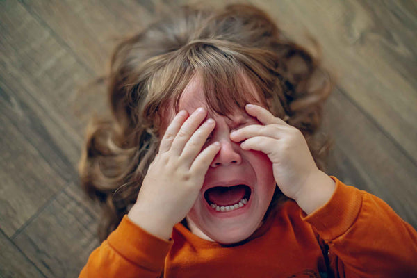 From Frustration to Flow: Managing Challenging Behaviours with Connection