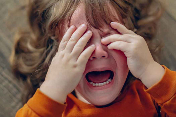 From Frustration to Flow: Managing Challenging Behaviours with Connection