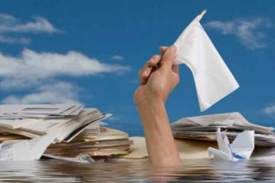 How to Use Butler Diaries' Programming Tools for Minimum Documentation but Maximum Compliance