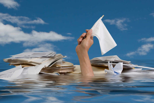 How to Use Butler Diaries' Programming Tools for Minimum Documentation but Maximum Compliance