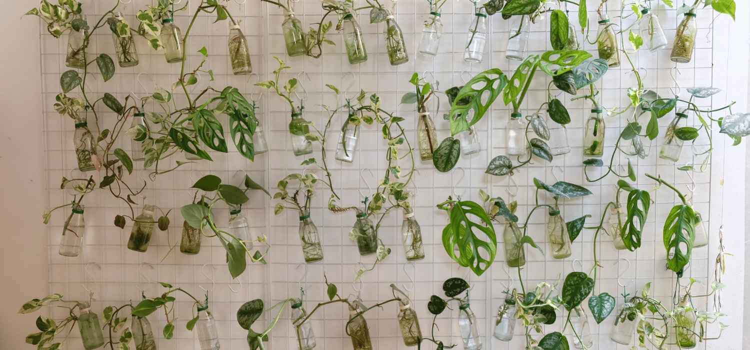 Sustainability Prompts for your ECEC