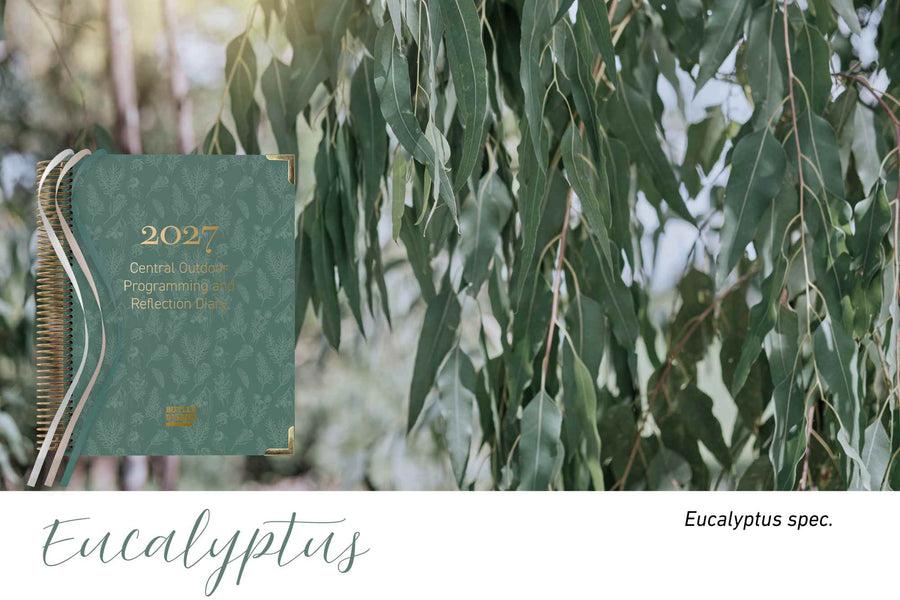 Eucalyptus native flora colour card for the 2027 Central Outdoor Weekly Programming and Reflection Diary, featuring eucalyptus gum leaves