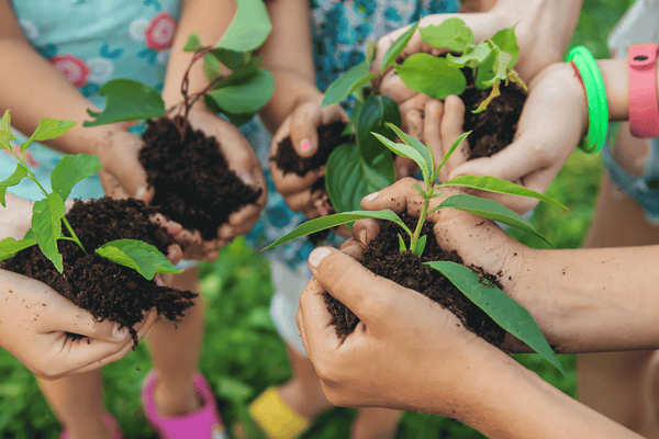 Composting in Early Childhood