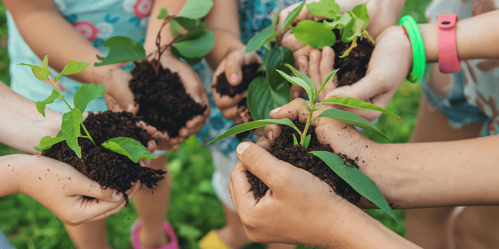 Composting in Early Childhood
