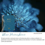 Blue Pincushion native flora colour card for the 2027 Early Childhood Cook's Diary, featuring Brunonia australis, the blue pincushion flower