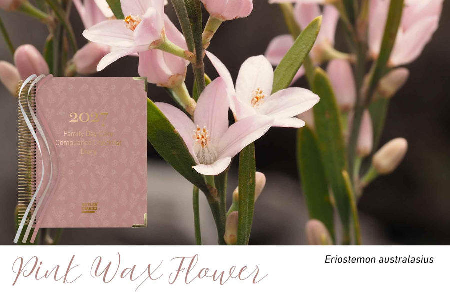 Pink Wax Flower native flora colour card for the 2027 Family Day Care Compliance Diary, featuring Eriostemon australasius, the pink wax flower