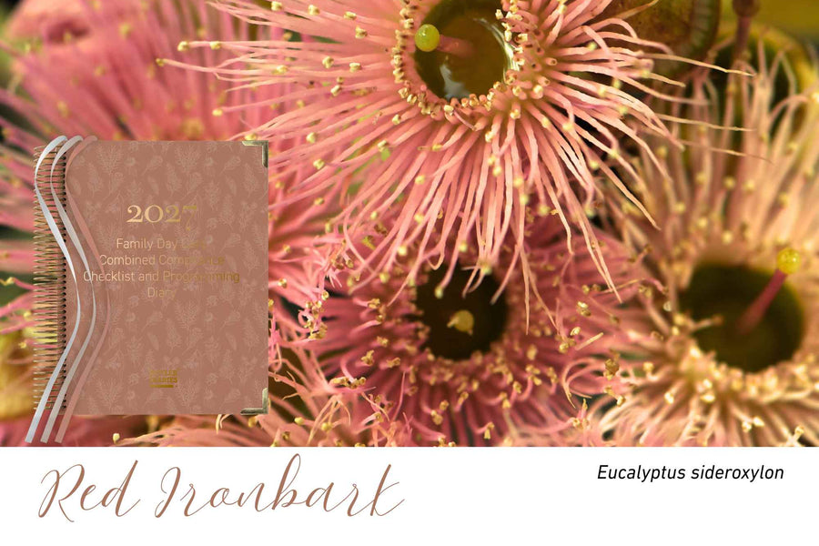 Red Ironbark native flora colour card for the 2027 FDC Combined Compliance Checklist and Programming Diary, featuring Eucalyptus sideroxylon, the red ironbark