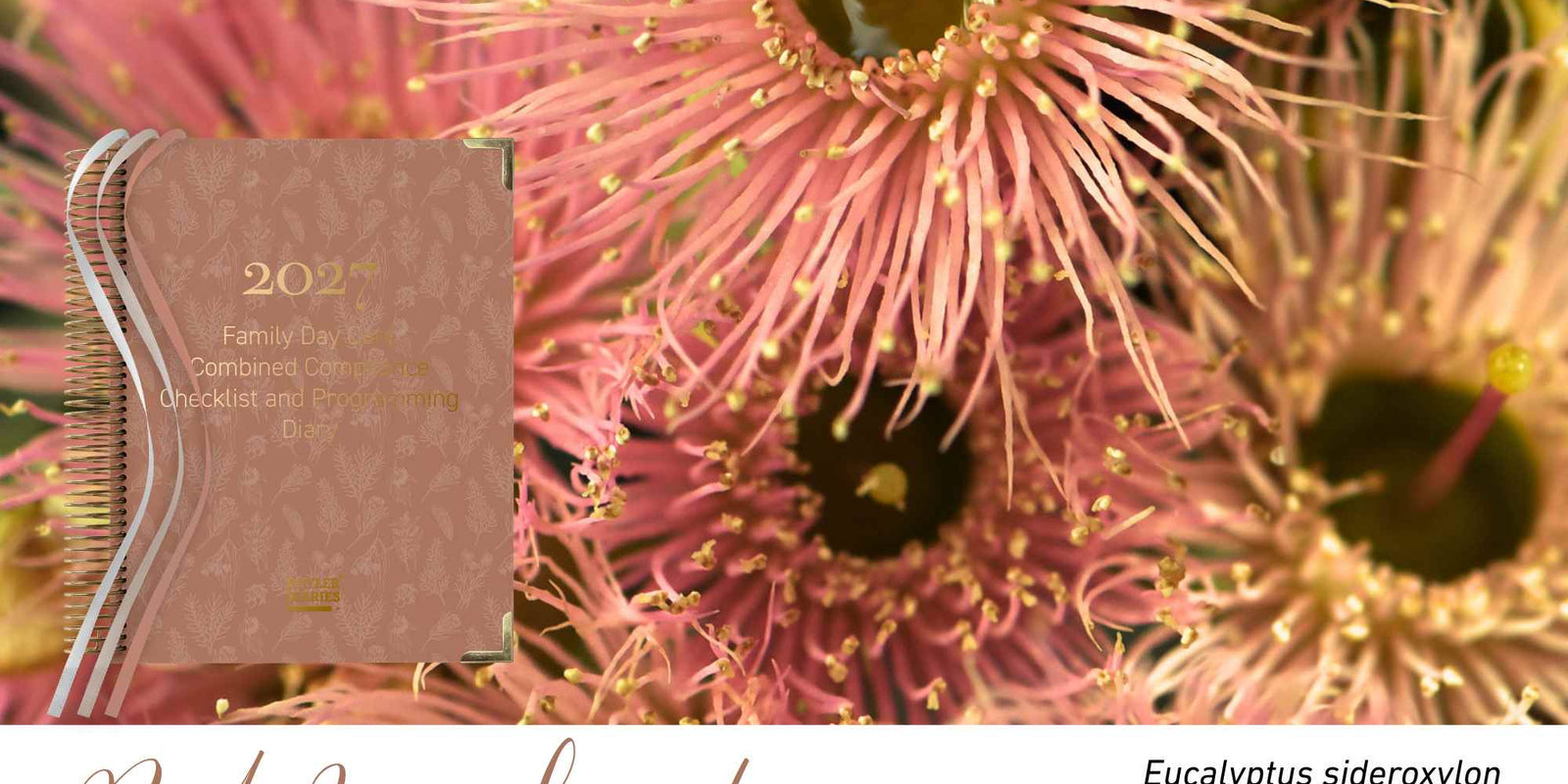 Red Ironbark native flora colour card for the 2027 FDC Combined Compliance Checklist and Programming Diary, featuring Eucalyptus sideroxylon, the red ironbark