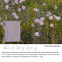 Shark Bay Daisy native flora colour card for the 2027 OSHC Weekly Programming and Reflection Diary, featuring Pembertonia latisquamea, the Shark Bay daisy