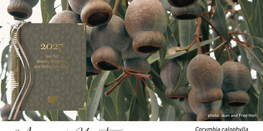 Marri Nut native flora colour card for the 2027 Weekly Teacher Planning and Reflection Diary, featuring Corymbia calophylla, the marri tree