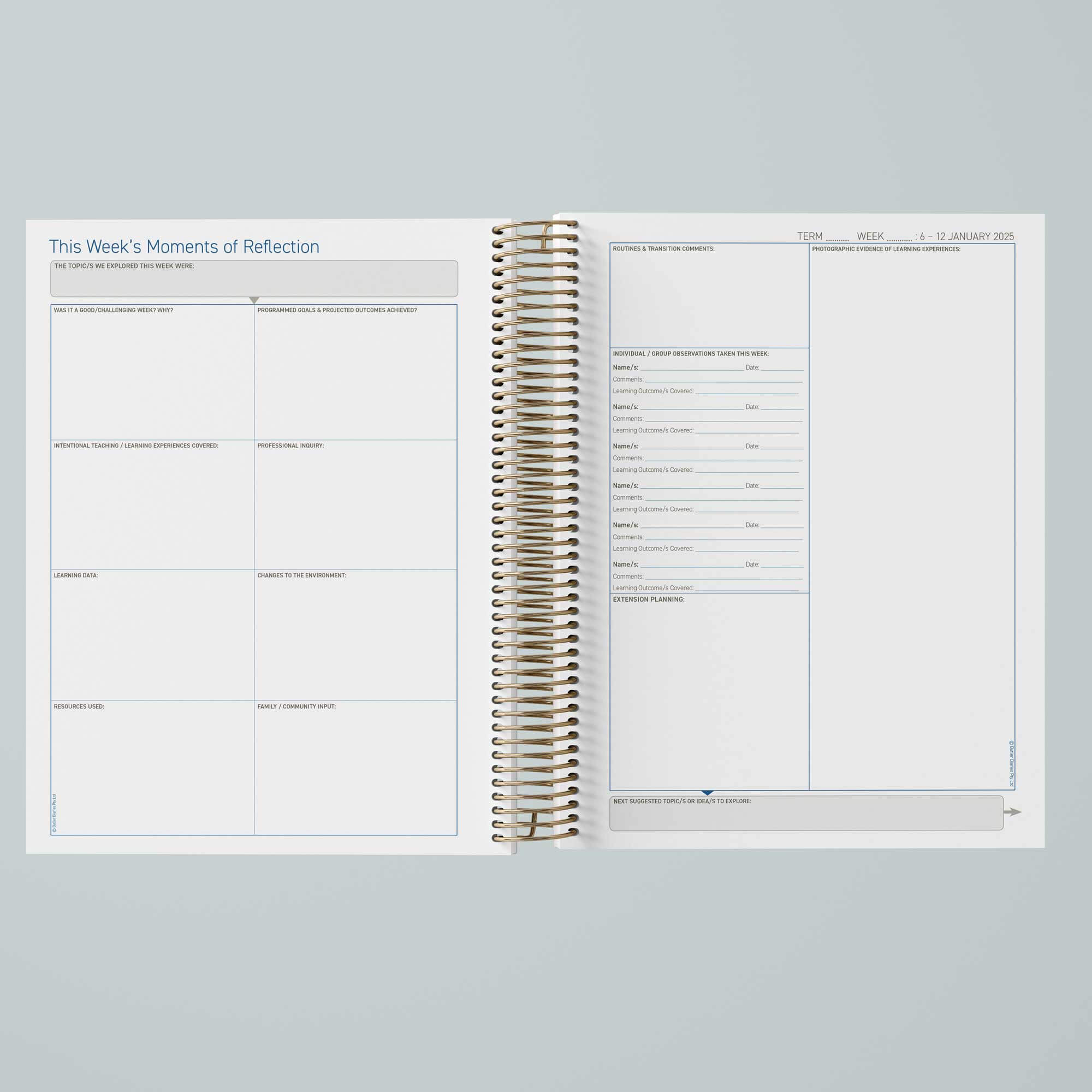 Critical Reflection Bundle for QKLG – Butler Diaries