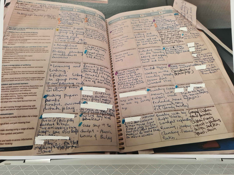 Example of the Weekly Programming and Refection Diary