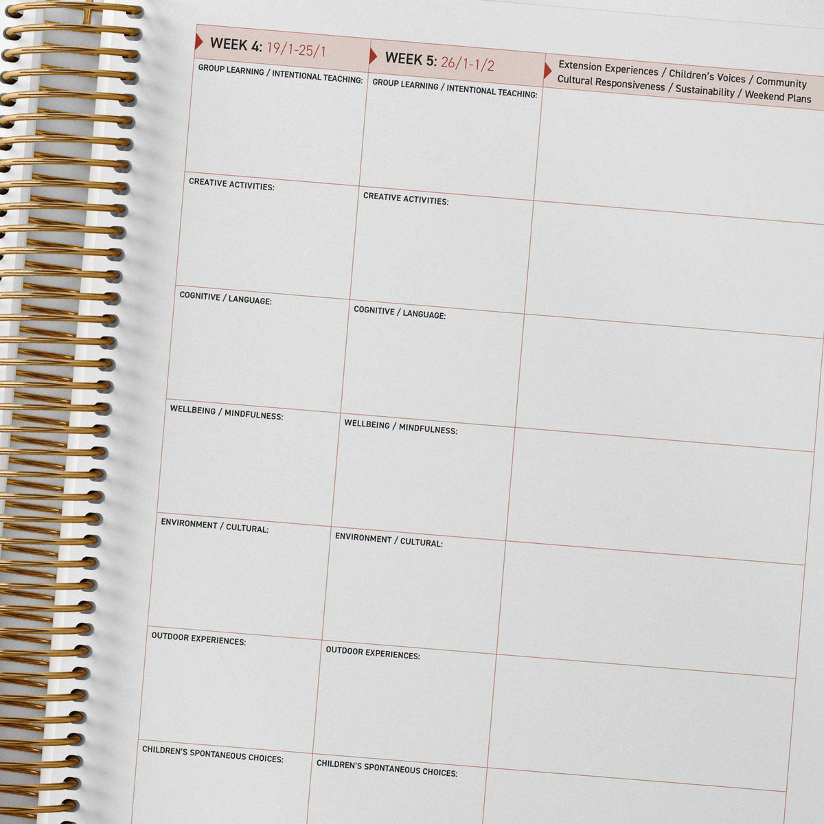 EYLF/MTOP programming spread with extension column inside the Family Day Care Combined Compliance Checklist and Programming Diary