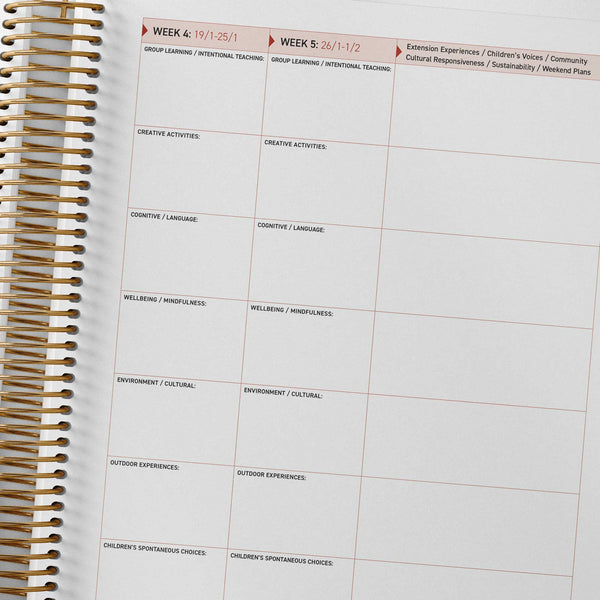EYLF/MTOP programming spread with extension column inside the Family Day Care Combined Compliance Checklist and Programming Diary