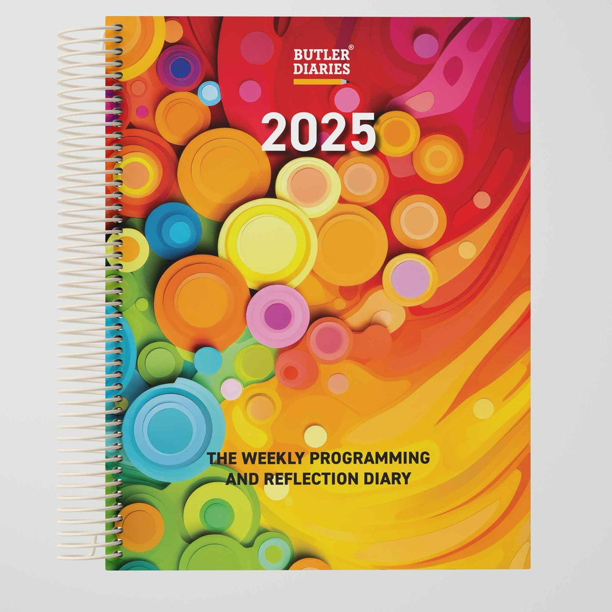 2025 6 Month Weekly Programming and Reflection Child Educator Diary