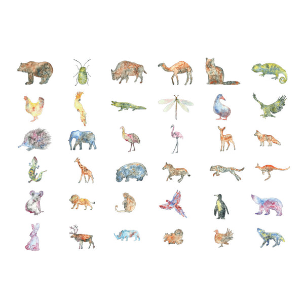 Can you guess? Animal shape recognition flashcard deck