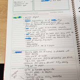 An example of the Educational Leader Diary with reflective conversations noted and planned professional development training and family communication