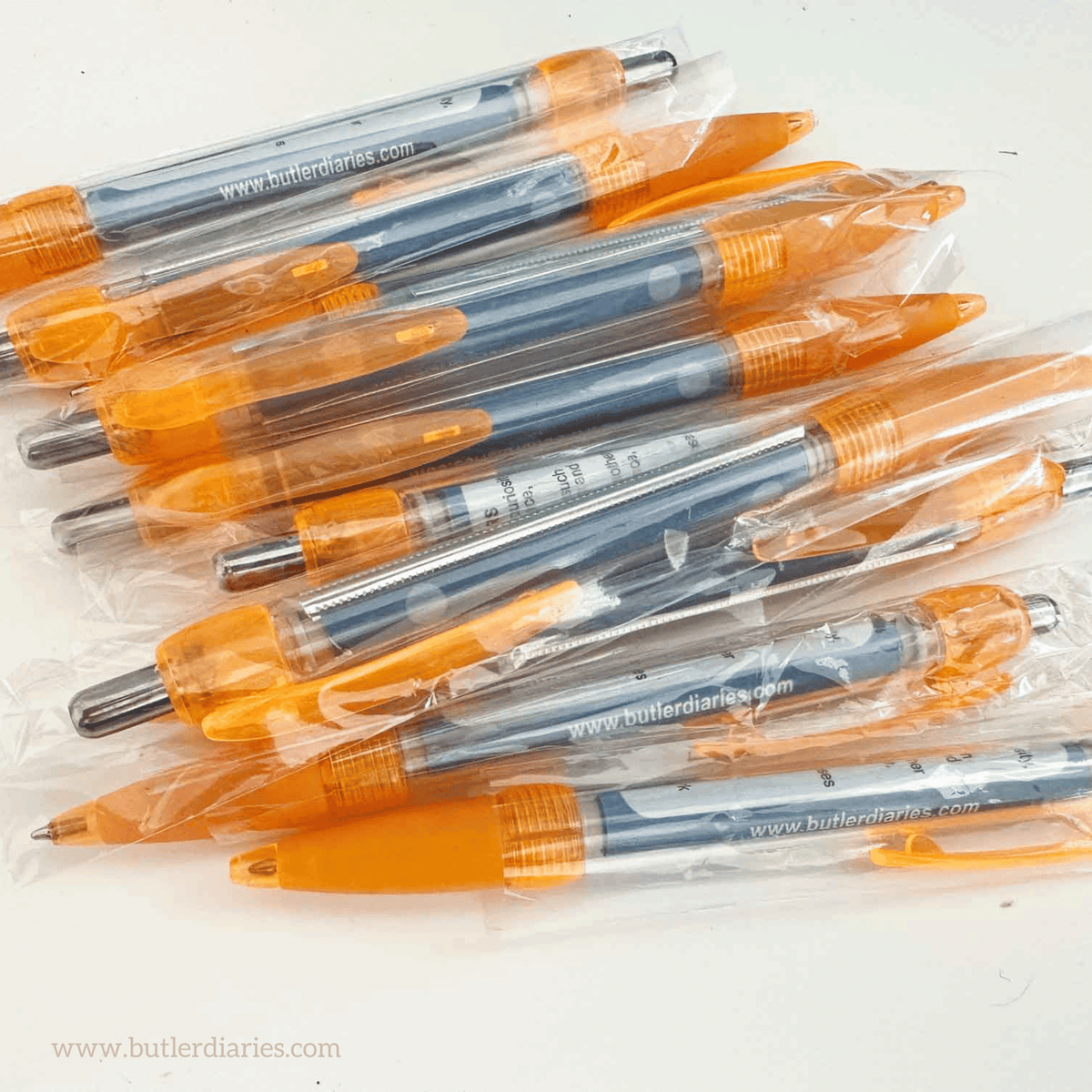 EYLF V2.0 Banner Pen - 10 Pen Box Set