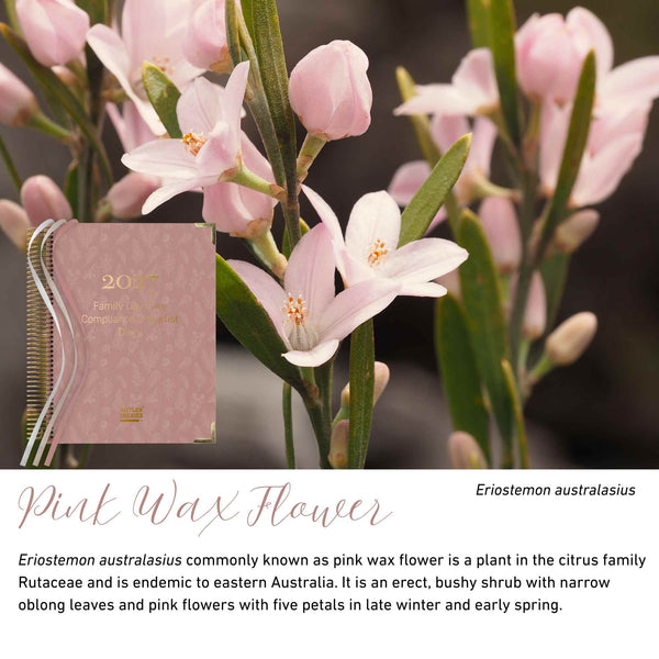 Pink Wax Flower native flora colour card for the 2027 Family Day Care Compliance Diary, featuring Eriostemon australasius, the pink wax flower