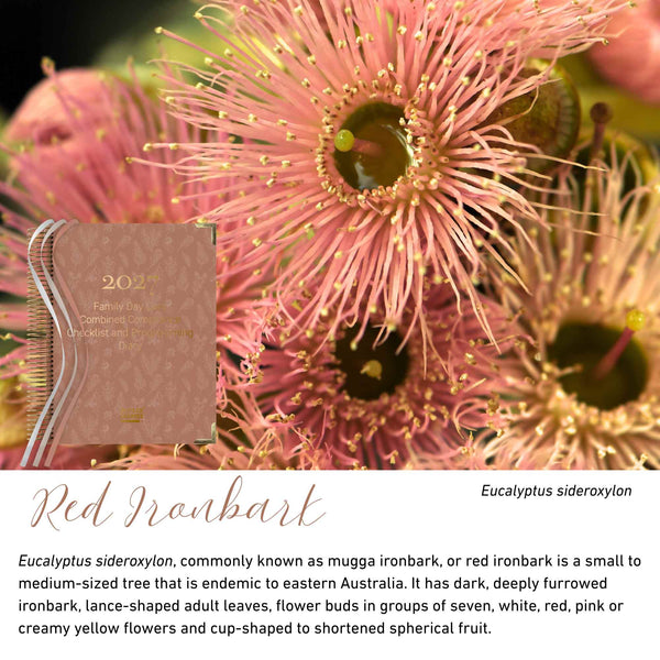 Red Ironbark native flora colour card for the 2027 FDC Combined Compliance Checklist and Programming Diary, featuring Eucalyptus sideroxylon, the red ironbark
