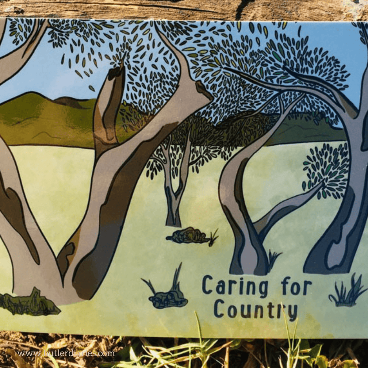 Indigenous Topic Cards for Childcare Butler Diaries