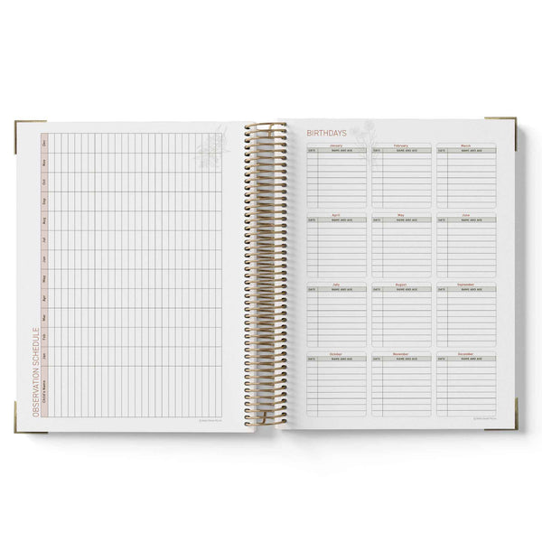 Open spiral-bound QLD Kindy Programming Diary with grid and list pages on a white background