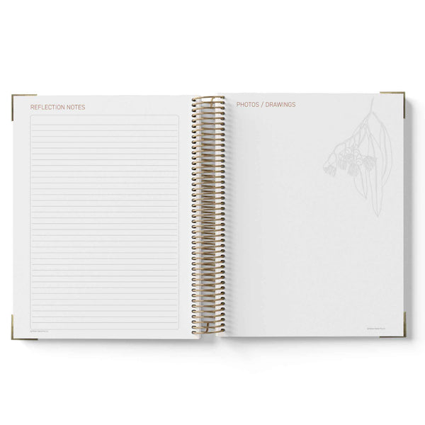 Open QLD Kindy Programming Diary with lined pages and a floral illustration on a white background