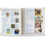 Open QLD Kindy Programming Diary with educational content and images on a white background