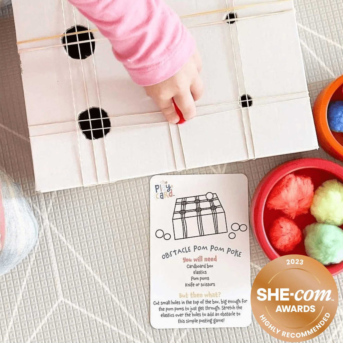 The Silent Assassin Program Cards