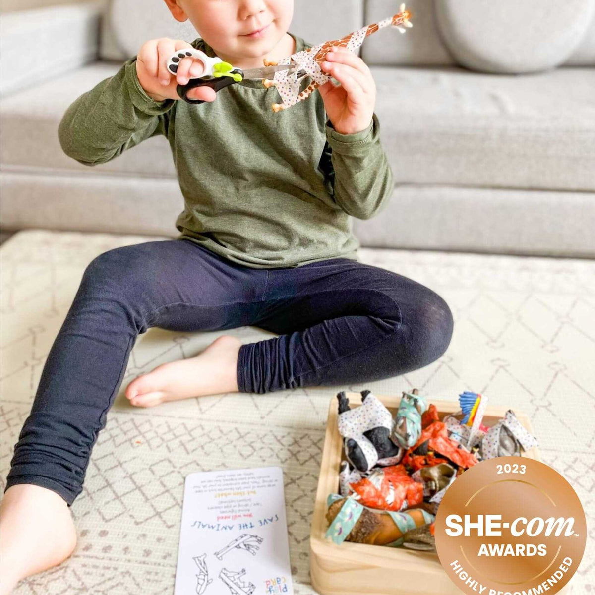 The Silent Assassin Program Cards