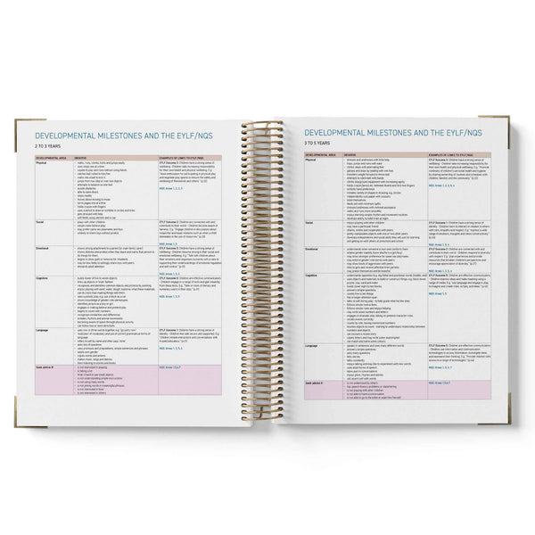 Open spiral-bound 2027 ECEC Programming Diary with pages showing developmental milestone lists on a white background