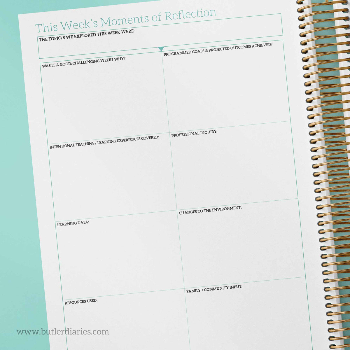 2024 Weekly Programming and Reflection Child Educator Diary